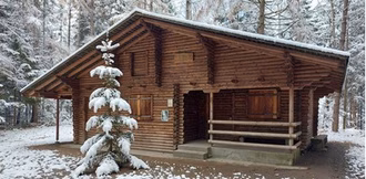 Waldweihnacht (Bild)